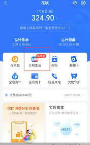 羊小咩享花卡购物额度怎么套出来，小白必看7种方法（羊小咩享花卡购物额度怎么套出来？小白必看7种方法！）